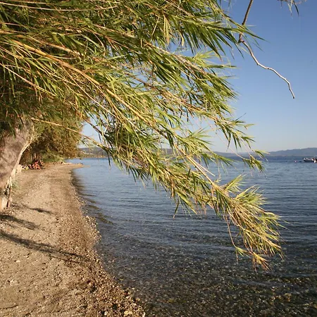 ξενωνας νιμπη